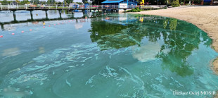 Zakaz kąpieli w zalewie na Borkach!
