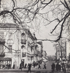 ul. Focha