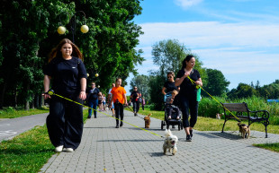 W niedzielę Wielki Marsz Adopciaków i Kundelków