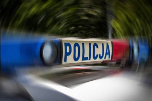 Kierowca Audi 