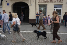 Marsz Adopciaków i Kundelków - Radom 2026