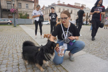 Marsz Adopciaków i Kundelków - Radom 2026