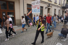 Marsz Adopciaków i Kundelków - Radom 2026