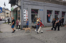 Marsz Adopciaków i Kundelków - Radom 2026