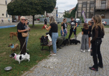 Marsz Adopciaków i Kundelków - Radom 2026