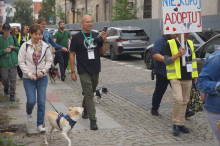 Marsz Adopciaków i Kundelków - Radom 2026