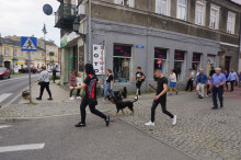 Marsz Adopciaków i Kundelków - Radom 2026
