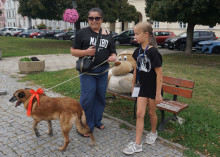 Marsz Adopciaków i Kundelków - Radom 2026