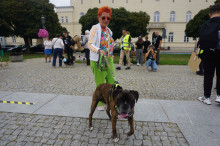 Marsz Adopciaków i Kundelków - Radom 2026