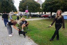 Marsz Adopciaków i Kundelków - Radom 2026