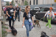 Marsz Adopciaków i Kundelków - Radom 2026