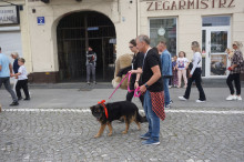 Marsz Adopciaków i Kundelków - Radom 2026