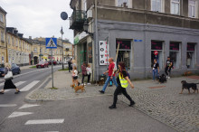 Marsz Adopciaków i Kundelków - Radom 2026