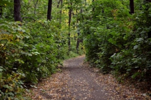 Co powstanie na trasie od Bałtowa przez Solec aż do Janowca?