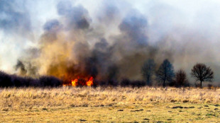 Rusza kampania społeczna ''NIE! dla wypalania traw na Mazowszu''