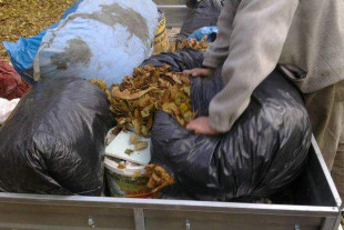 Urząd Marszałkowski przypomina: opłaty środowiskowe i sprawozdania do końca marca