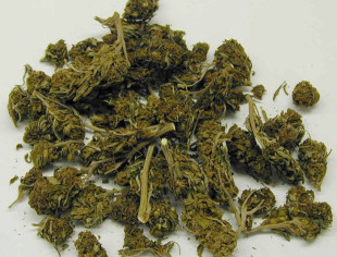 Dzielnicowi zatrzymali dwóch braci z marihuaną