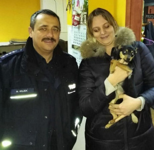 Zagubiony szczeniak wrócił do właściciela. Pomógł dzielnicowy