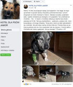 Dzielnicowa pomogła psu przymarzniętemu do chodnika