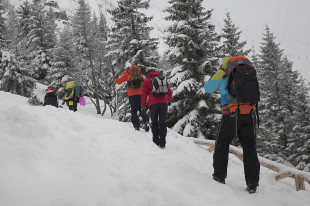 Bezpieczne ferie - o czym pamiętać przed wysłaniem dziecka na zimowy wypoczynek?