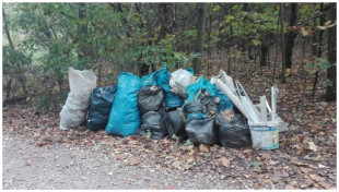 Kolejne dzikie wysypisko zlikwidowane