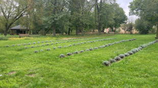 Miejscówki Radomia. Park na Obozisku im. J. Malczewskiego [ZDJĘCIA]