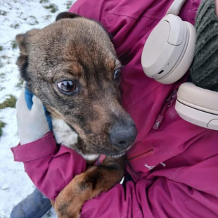 Błażej doczekał się pomocy