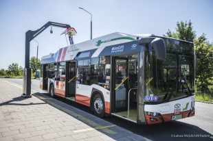 Przywrócenie stałych tras autobusów na Idalinie