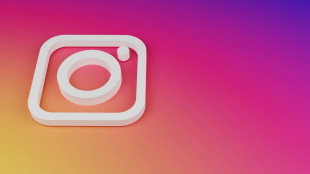 Generatory followersów na Instagramie: Co warto wiedzieć?