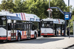 W poniedziałek darmowa komunikacja miejska  