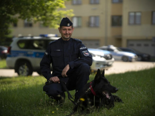Rzucił się do ucieczki przed policyjnym psem, choć ten nie szedł jego tropem. Pożałował