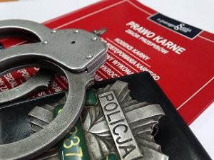 Agresywna 20-letnia złodziejka ujęta po próbie kradzieży w sklepie na ul. Młodzianowskiej