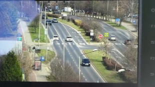 Poleciały mandaty za wykroczenia w rejonie przejść dla pieszych [WIDEO]