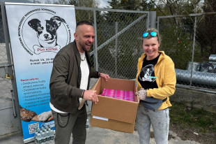 Wszystkie psy ze schroniska w Radomiu dostaną obroże przeciwkleszczowe