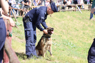 Psi Piknik na zamku w Iłży. Pokazy umiejętności i tresury policyjnych czworonogów [FOTO | WIDEO]