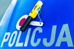 Kompletnie pijania kobieta jechała z dwójką dzieci! Wjechała w ogrodzenie